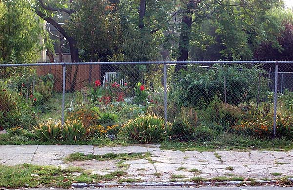 Community garden