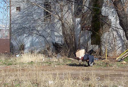 Photo of planting site