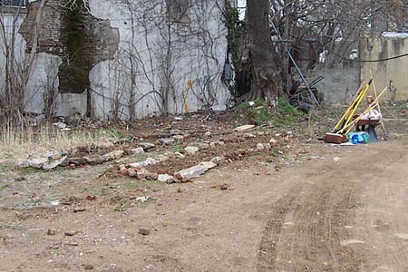 Photo of rescue beds